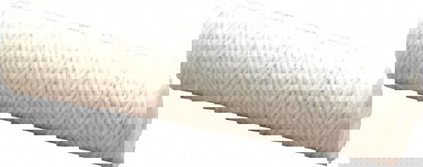 Plumbing Cartridge Filter: 2-1/2